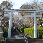 参道の桜がきれいな宗忠神社