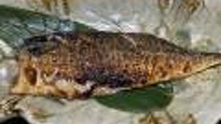 美味しかったけど？