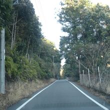 アクセス路の国道は狭い