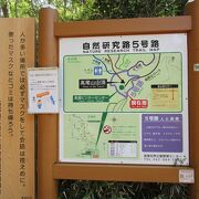 高尾山を徒歩のみで登頂する散策路が高尾山自然研究路で、いくつかルートがあります。