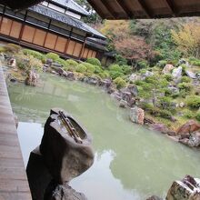 大書院から眺める