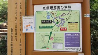 高尾山を徒歩のみで登頂する散策路が高尾山自然研究路で、いくつかルートがあります。