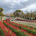 2021年4月3日　万博記念公園