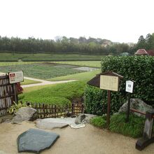唯心山 (岡山後楽園)