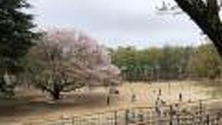 グランベリーパーク内にある公園