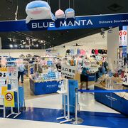  BLUE MANTA 