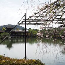 泰平閣（橋殿）が見えてきました。