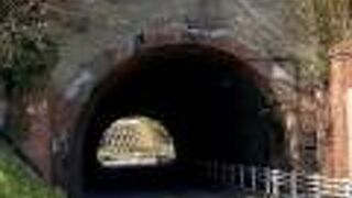 通称電車道、春は桜並木