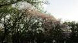 ベンチもあり、桜の花も少し残っていたので良かったです