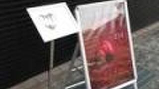 ル ショコラ チェリーシー