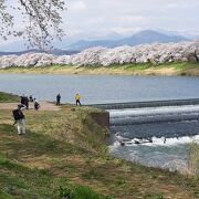 韮神堰（にらがみぜき）も、白石川堤一目千本桜の撮影スポット