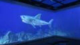 伊方原発展示館と隣接