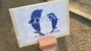 海洋生物の進化