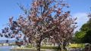 とても綺麗に整備されています。