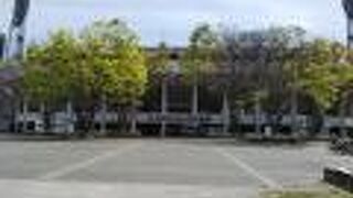 わかさ生活、命名