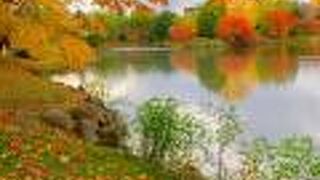 紅葉が見頃でとってもキレイでした!!!