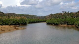 慶佐次川の河口付近