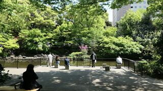 チューリップだけじゃない