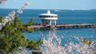 台風被害で休業中で残念、須磨海釣り公園