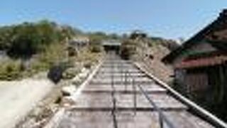 すでに散り果て～