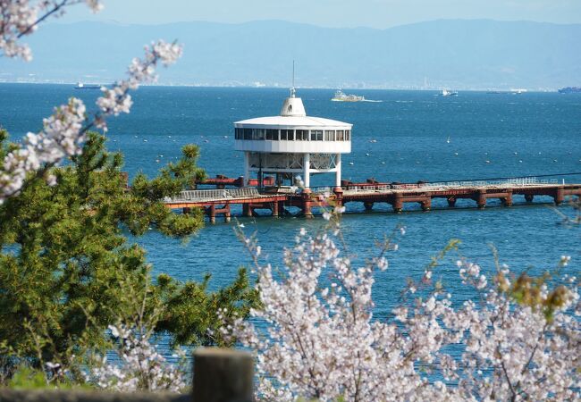 台風被害で休業中で残念、須磨海釣り公園