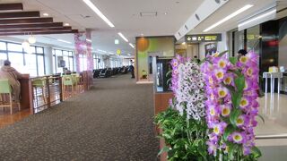 お花がたくさん咲いている空港なのよぉ