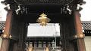 桜が見事な穴場的お寺です