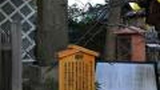 ほぼ読めませんが