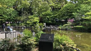 「彼我公園」が整備されています