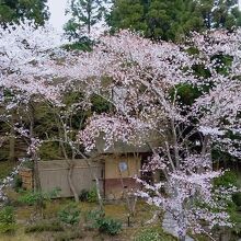 京YUNOHANA RESORT 翠泉