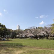 大和市を代表する総合公園