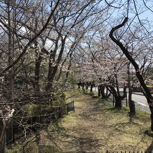 神社の石塔前から見た公園