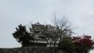 眺め良かったです