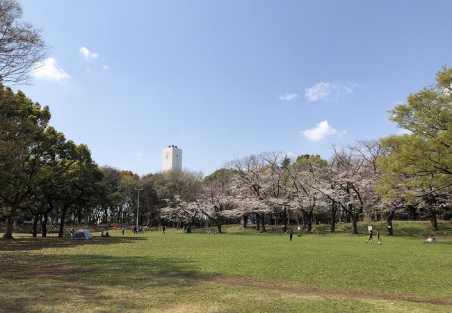 大和市を代表する総合公園