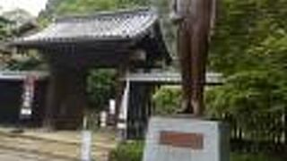 今の日本では絶滅したタイプの人だね