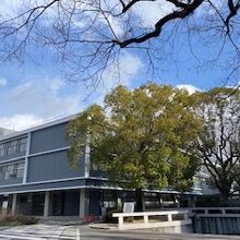 庁舎外観の様子です。