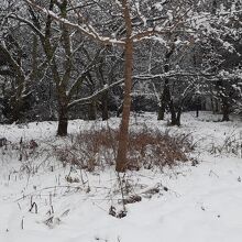 公園の敷地内