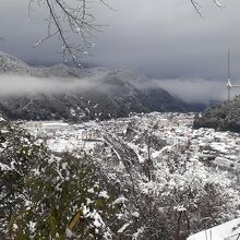 公園内からの景色