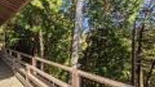 急な階段です。