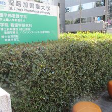 以前碑があった場所