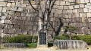 数多くある大坂城残念石