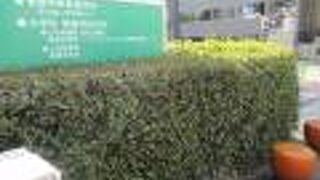 碑が移動していたとは