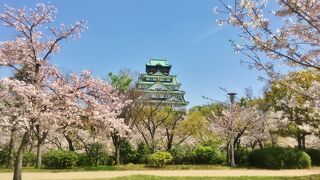 桜の季節は是非　