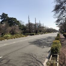 桜の季節は美しい通り