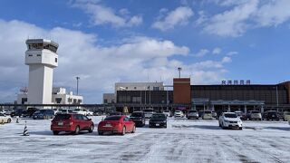 羽田、成田、千歳へJAL、AirDo、ANA、peachが運行