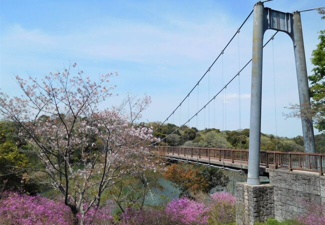 江汐公園つつじまつり