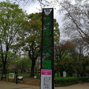 桜の名所で、とても広いです