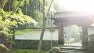 竹の寺と言うだけあって