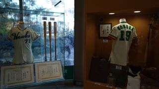 全野球ファン必見