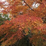 山奥の紅葉の名所